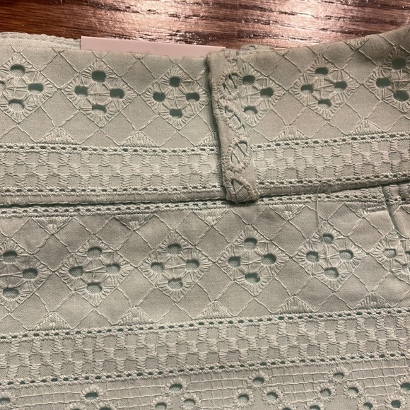 NWT ANNE TAYLOR LOFT The Riviera Shorts eyelet lace mint green size 4 - Picture 3 of 11